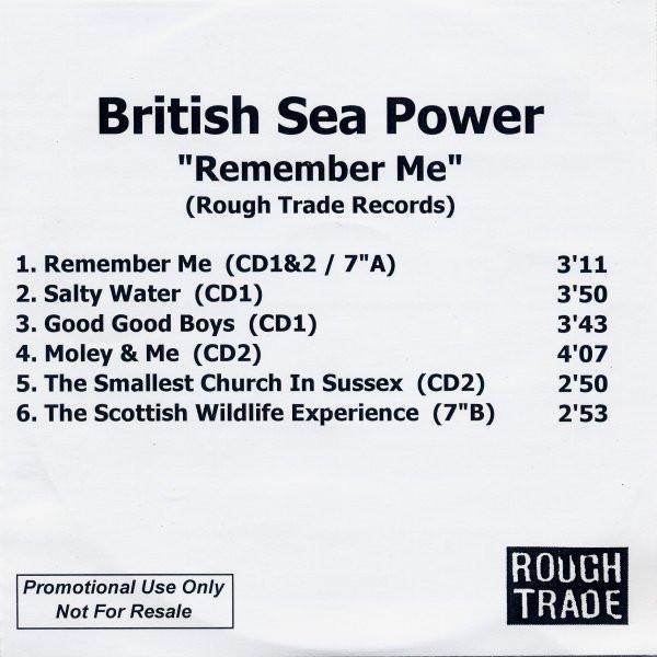 British Sea Power - Remember Me