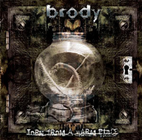 Brody  - Torn From A Warm Place