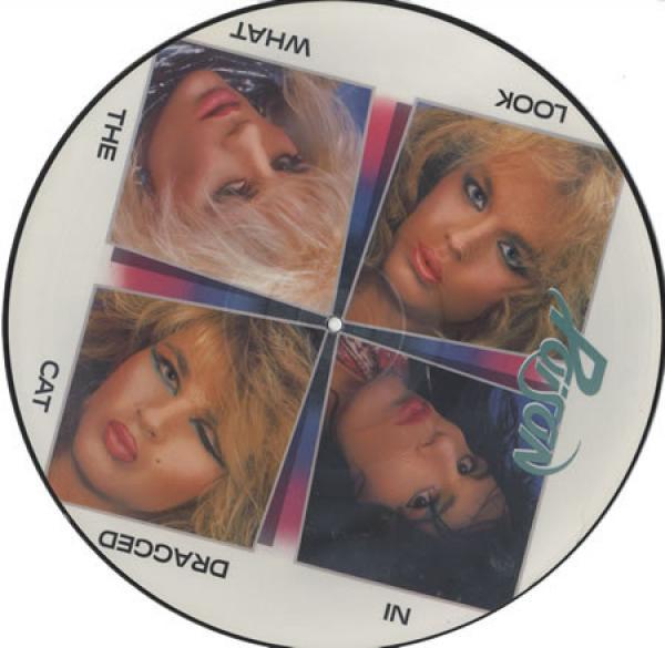 Poison  - Look What The Cat Dragged In