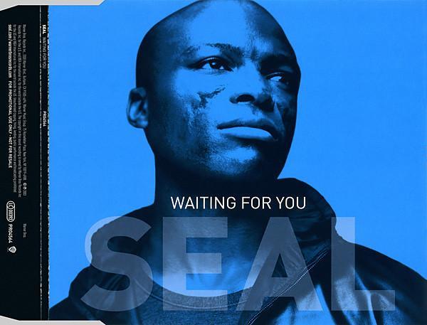 Seal - Waiting For You